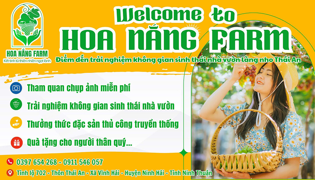Địa chỉ du lịch vườn nho Thái An, Ninh Thuận uy tín